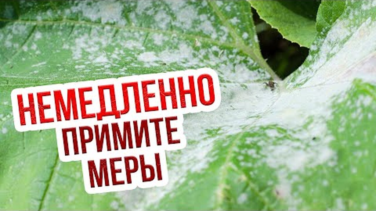 Klikněte a uvidíte