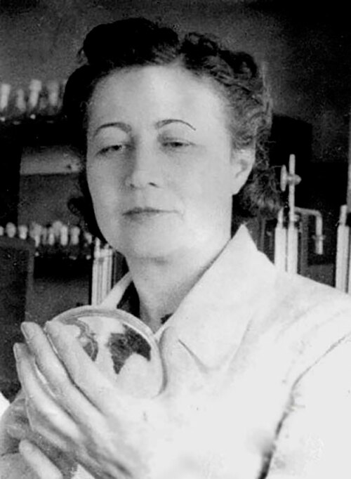 6 женщин учёных в СССР: как сложилась их судьба — фото, биографии