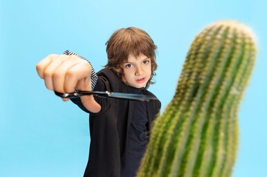Как обрезать кактус – пошаговая инструкция