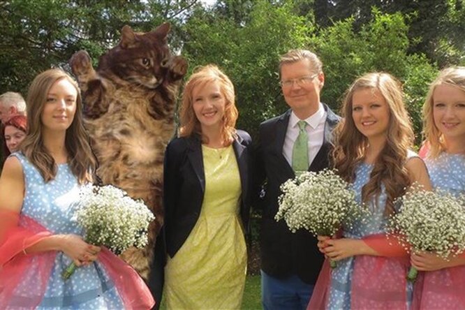 Женщина заменила бывшего парня сестры котом на всех семейных фото