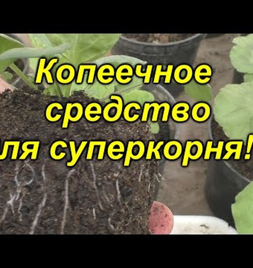 Нажми и смотри