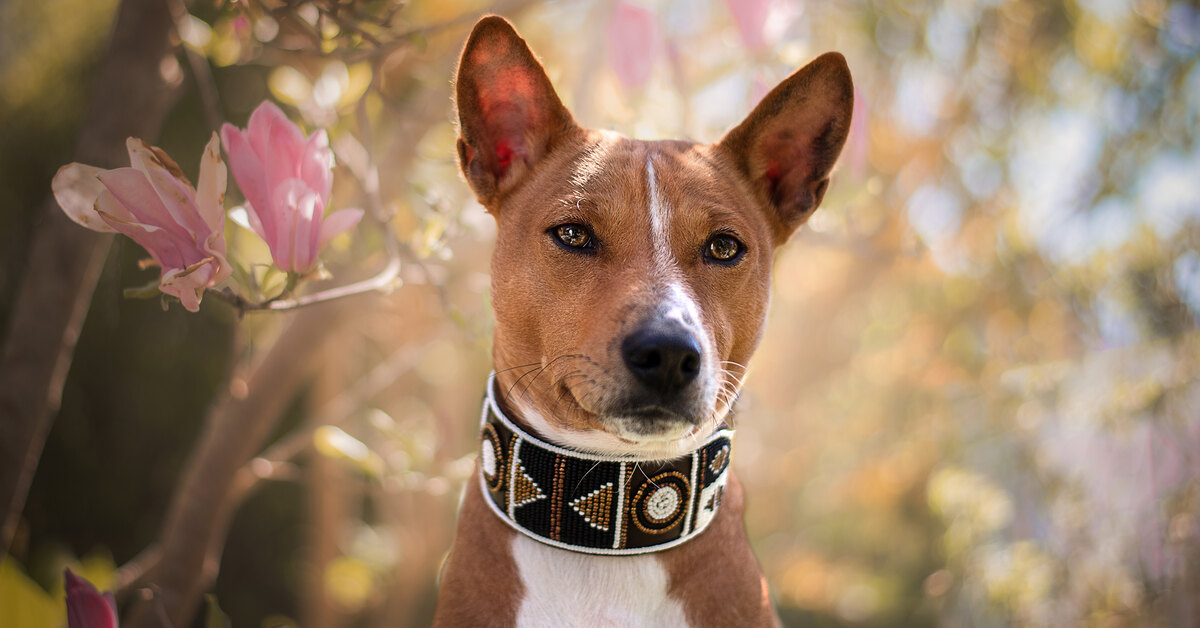 Подразделы: