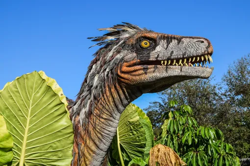 В Турции появился динозавр, достойный Книги рекордов Гиннеса