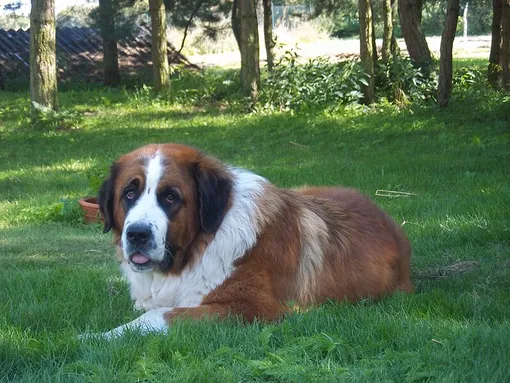 b9ee7e4f4d8f5e81a98be1759c0e8f6d_cropped_510x383 b9ee7e4f4d8f5e81a98be1759c0e8f6d_cropped_510x383