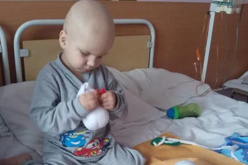 Четырехлетний мальчик шьет снеговиков, чтобы заработать на лечение рака