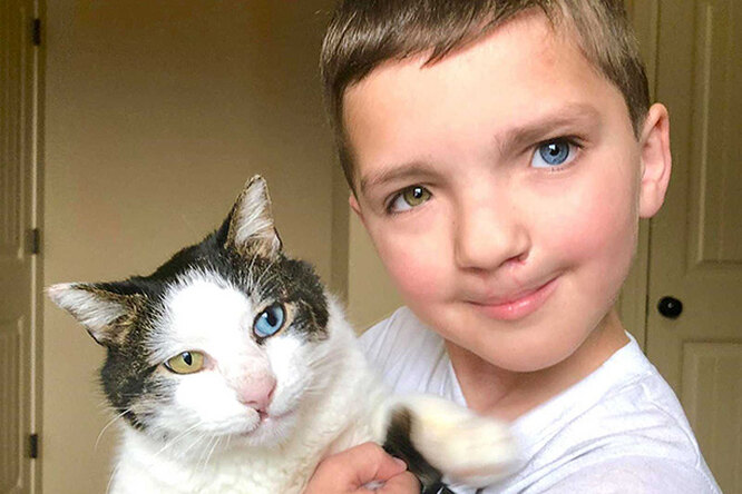 Мальчик, над которым смеялись из-за разного цвета глаз, нашел кошку с такой же особенностью