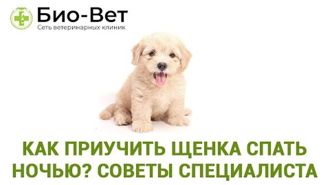 Нажми и смотри