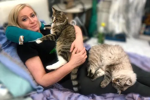 «Живот провис до пола, спина прогнулась»: Наталья Гулькина рассказала, сколько потратила на лечение коронавируса у кота
