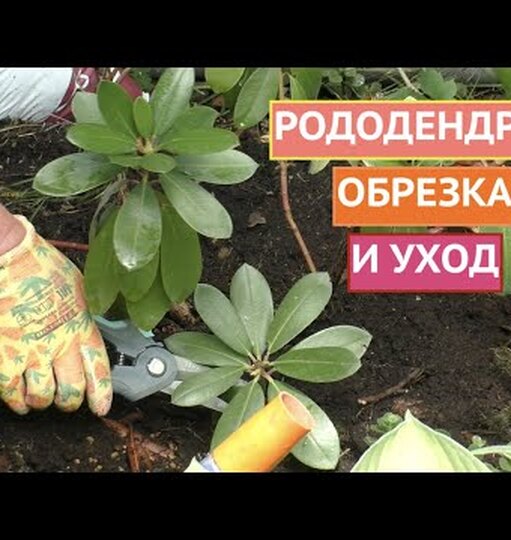 Klikněte a uvidíte