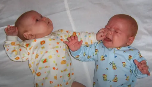 новорожденные близнецы