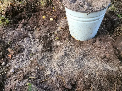 Удобрение почвы под картофель