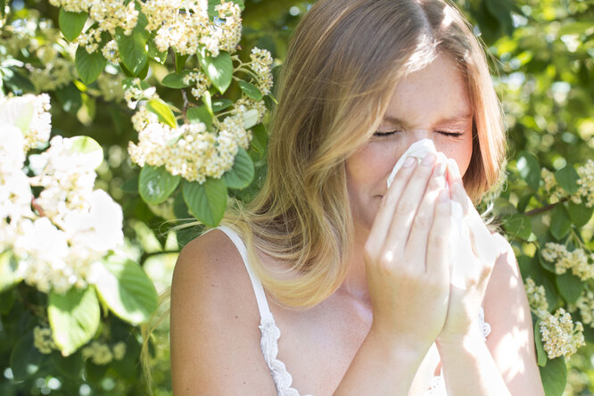 Скажи аллергии «нет»: как отличить реакцию на пыльцу от ОРВИ?