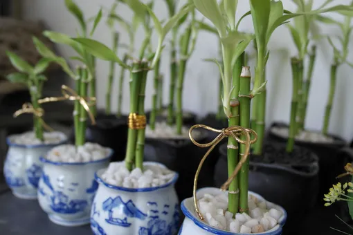 Символ финансового благополучия