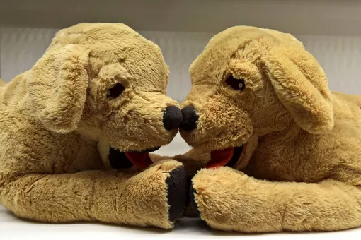 Две плюшевые милые собаки: фото собак игрушек