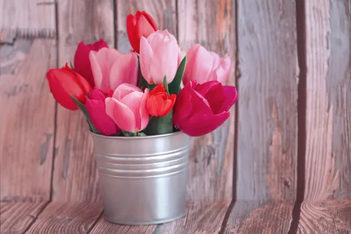 тюльпаны, букет тюльпанов, тюльпаны в вазе, весенние цветы, букет цветов, разноцветные тюльпаны