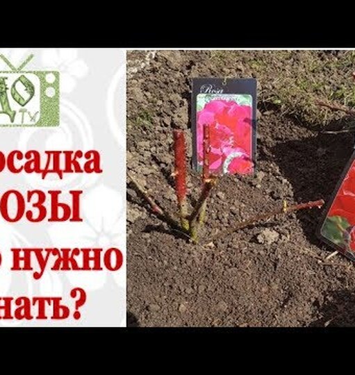 Нажми и смотри