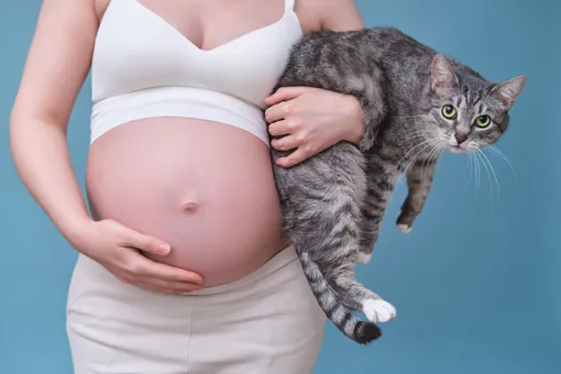 беременная женщина с кошкой