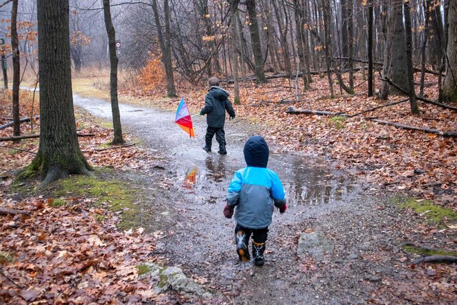 В Татарстане нашли двух мальчиков, которых мать прятала в лесу от чипирования