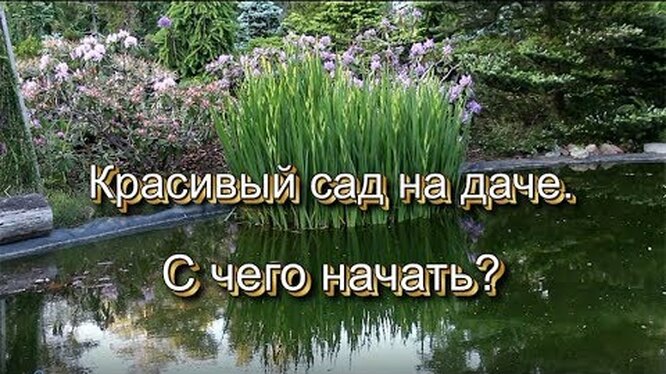 Нажми и смотри