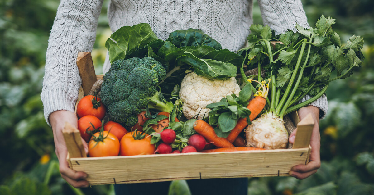 Хранение овощей на балконе своими руками: с чего начать?