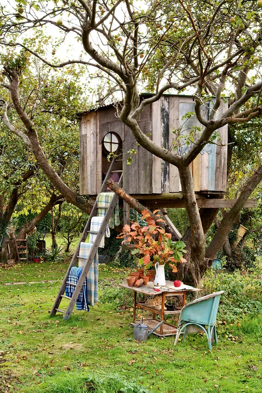 Дом на дереве с лестницей фото