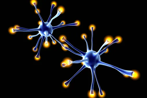Ученые научились выращивать нервы, поврежденные при инсульте и деменции