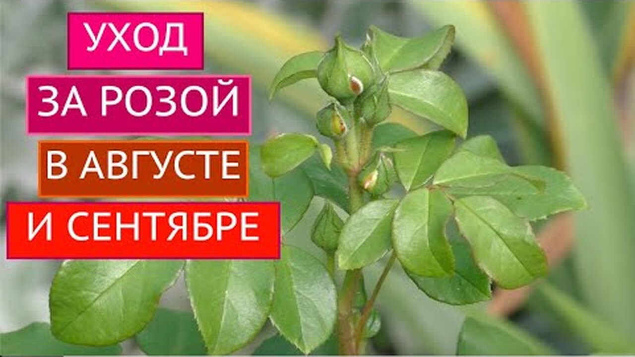 Klikněte a uvidíte