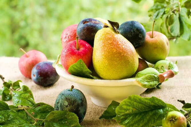 Как правильно собирать урожай яблок, груш и слив в августе: советы опытных садовников