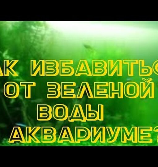 Нажми и смотри