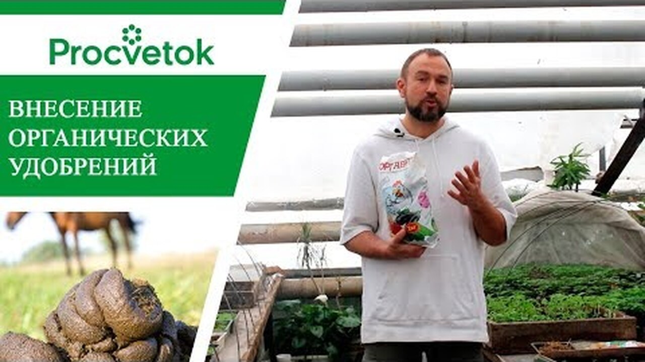 Нажми и смотри