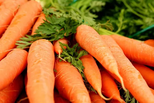 Чем нельзя подкармливать морковь в июле