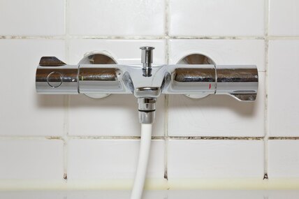 Как отмыть плесень в швах плитки и потемневший силикон? 4 способа для ванной и кухни