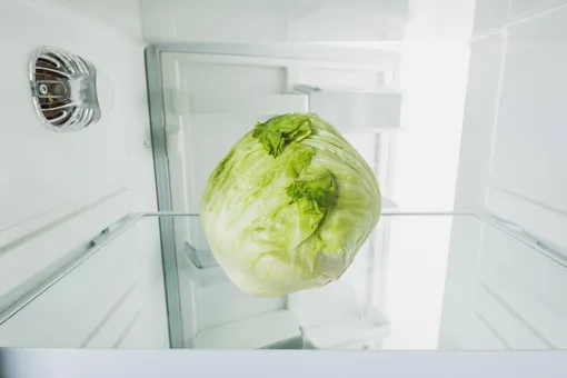Способы хранения капусты в холодильнике