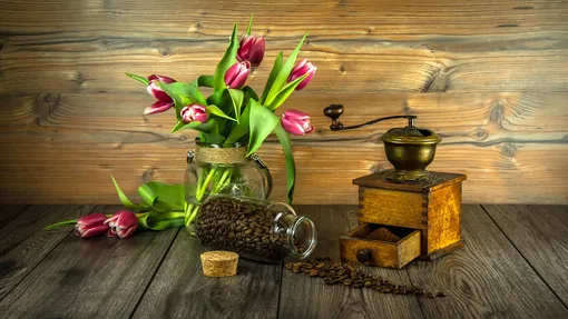кофе, цветы, тюльпаны и кофе, кофейная мельница, кофе в зернах, цветы и кофе