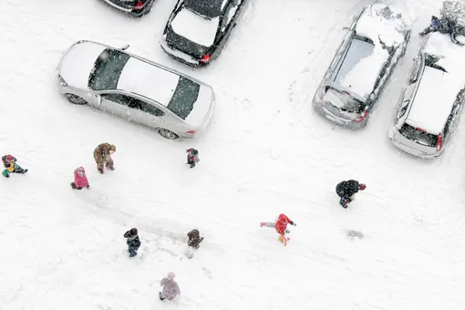 Можно ли парковаться зимой на газоне, в каких случаях могут оштрафовать?