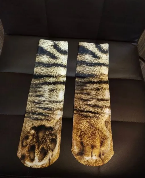кошачьи носки
