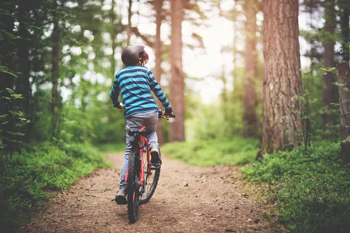 ребенок едет на велосипеде по тропинке в лесу