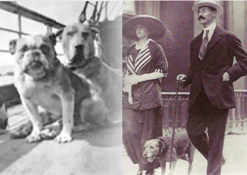 Слева — собаки на борту «Титаника»