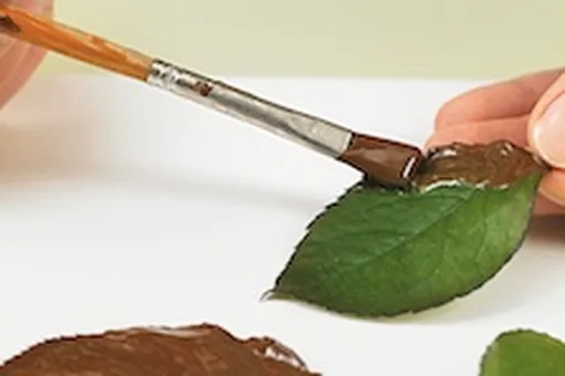 Как сделать шоколадные листья