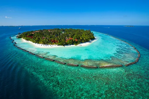 Лето никто не отменял: курорт Kurumba Maldives начнет принимать туристов уже совсем скоро