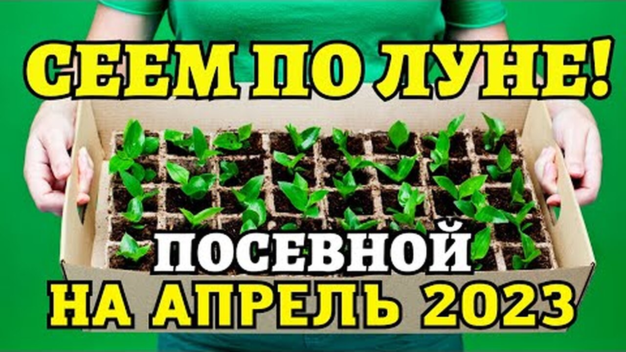 Klikněte a uvidíte