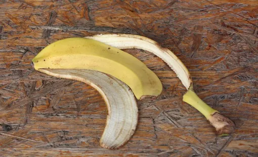 Банановая кожура помогает снять зуд после укуса комара
