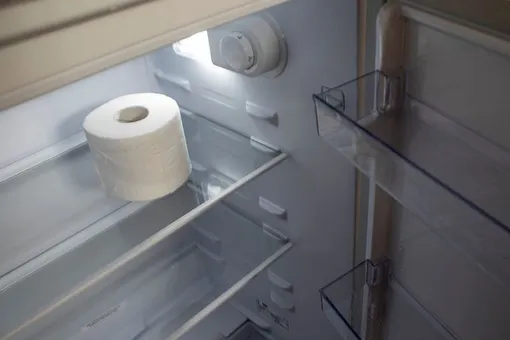 Зачем опытные хозяйки кладут туалетную бумагу в холодильник: тоже будете так делать, когда узнаете