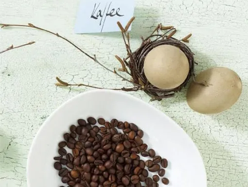 Как можно использовать кофе в зёрнах и кофейную гущу. 15 полезных способов
