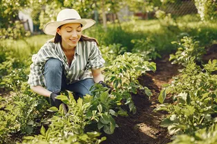 Контейнеры для семян и удобрения: 5 вещей, на которых можно сэкономить на даче