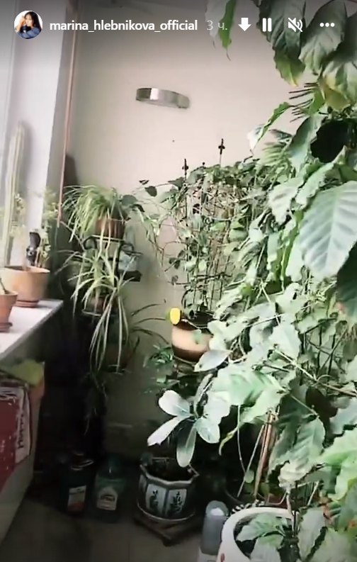 Как выглядит квартира Марины Хлебниковой сейчас