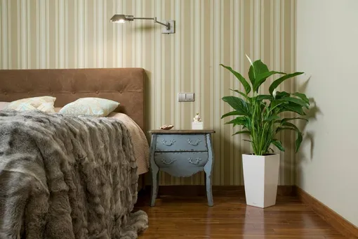 Вдохновение и идеи для дизайна спальни с комнатными растениями
