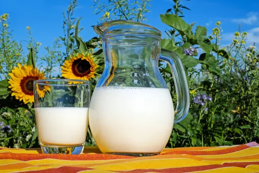 Польза молочной сыворотки для сада и огорода
