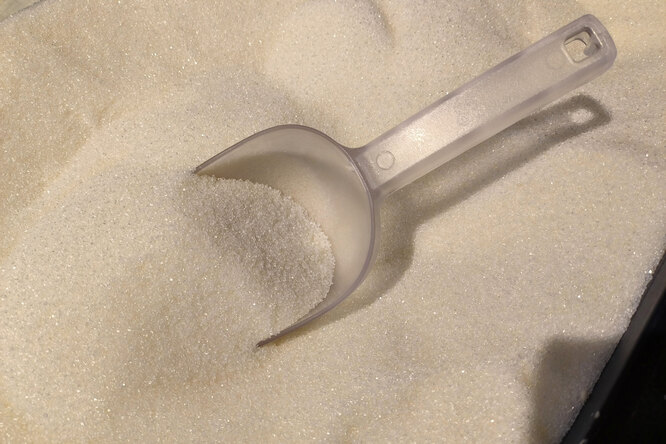 Учёные выяснили, почему сахар вызывает привыкание