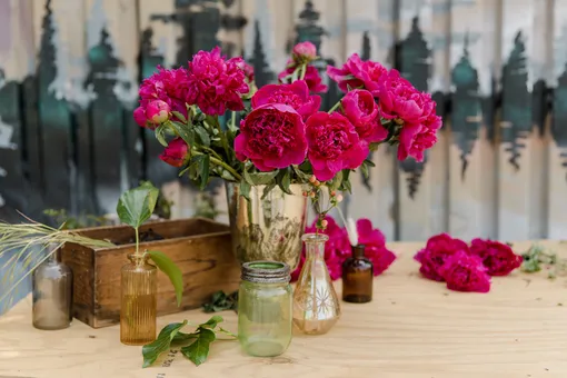 5 способов продлить жизнь букету пионов: как ухаживать за срезанными цветами